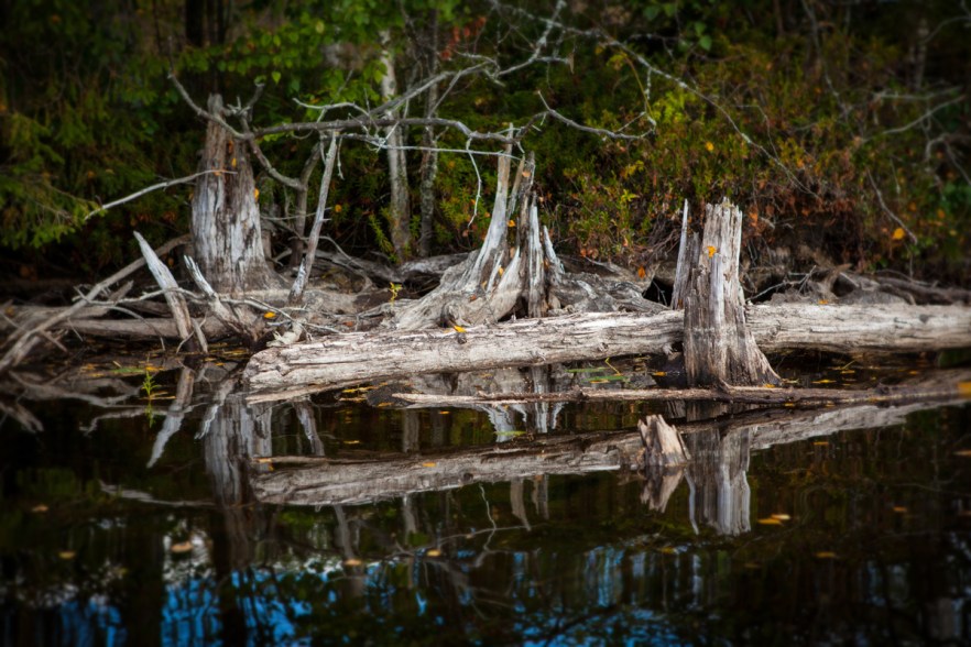 140913_MylziMelonta-1013