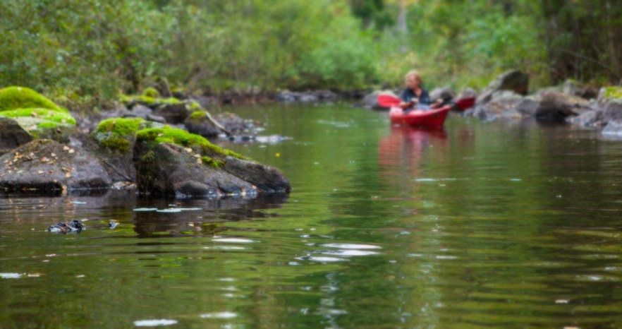 140913_MylziMelonta-1063