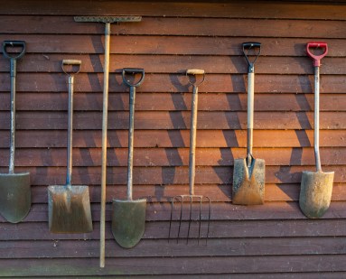 20140914_Myllis-1044