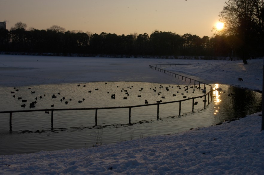 20100216_KATAsuomeen_Ingolstadt (2386)