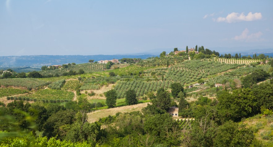 20130705_Toscana-1626