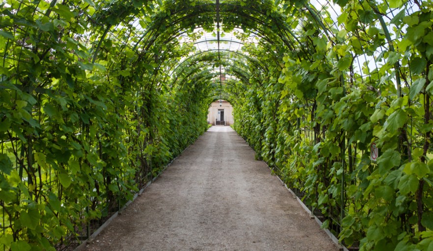 20140622_Rundales-1039