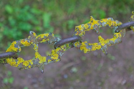 20140622_Rundales-1083