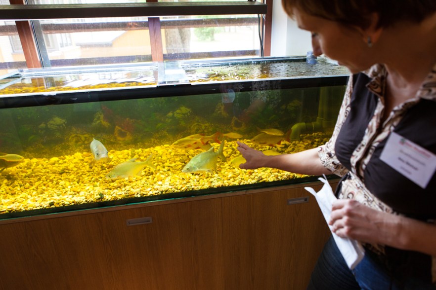 20140626_aVortsjarv-1012