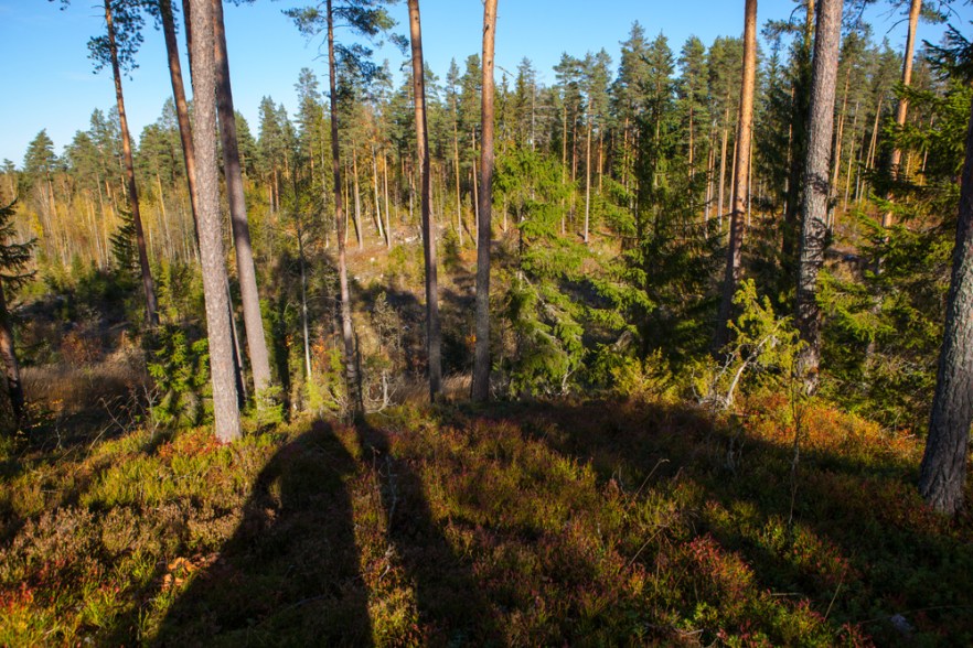 20151011_MylziSyys-1023