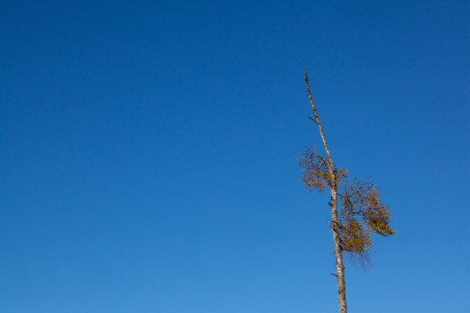 20151011_MylziSyys-1030