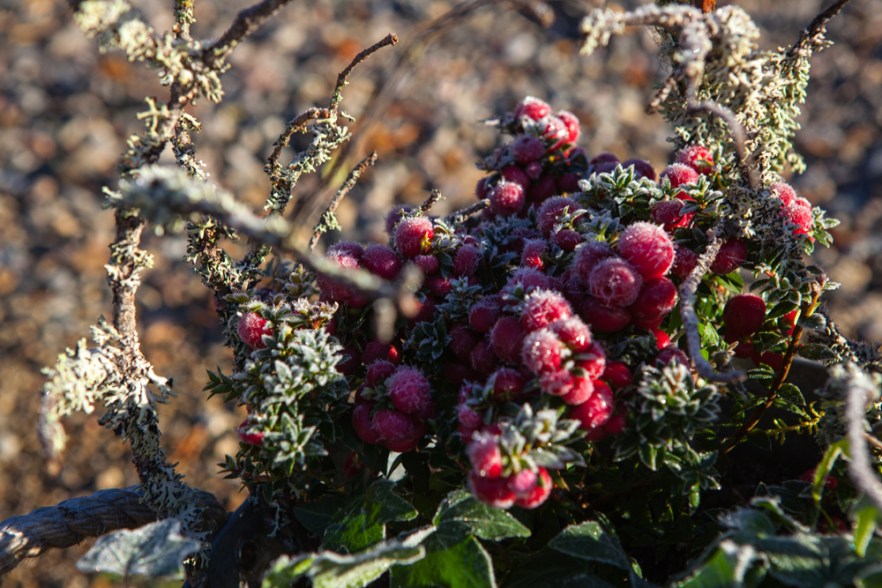 20151011_MylziSyys-1046