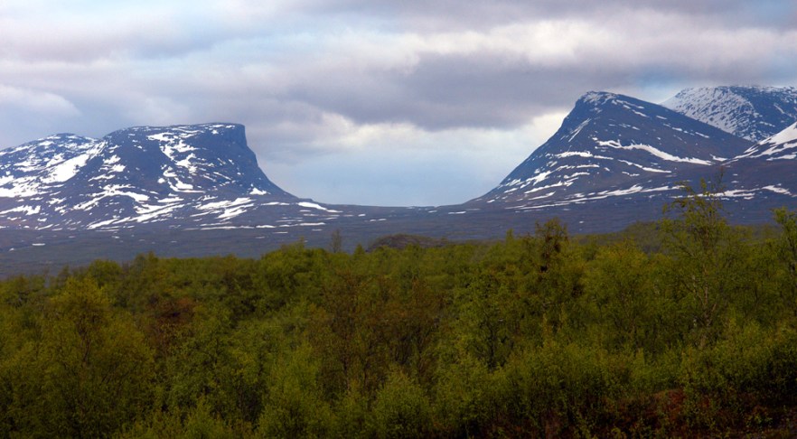 0692_Abisko_symbol_SWE_KASIVARSI_210608