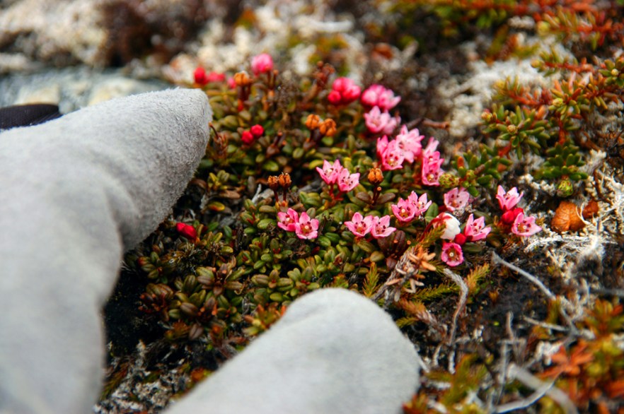 0894_Riksgransen_SWE_KASIVARSI_220608