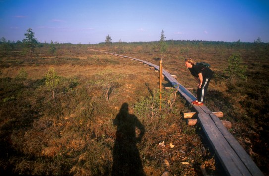 103_Torronsuo_052000