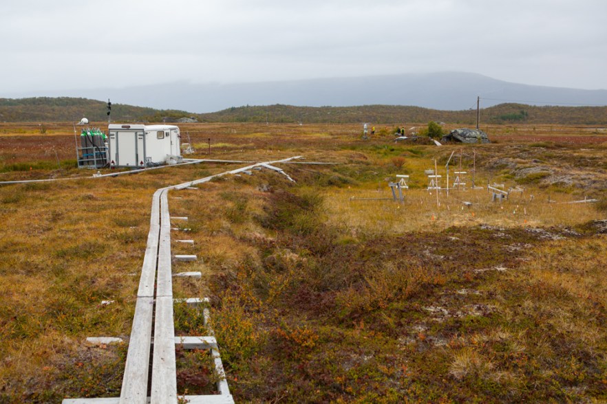 140911_Bjorkliden-1642