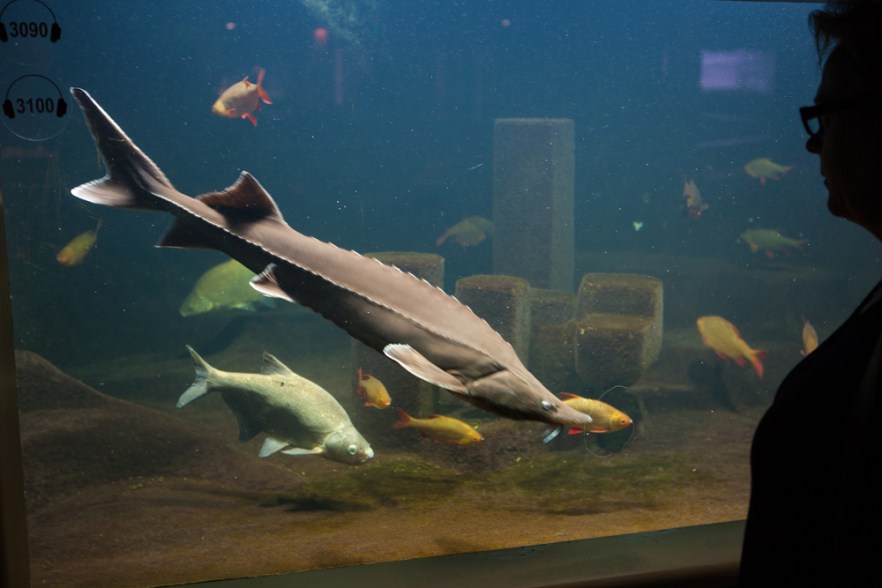 20130830_Liettuva-1269