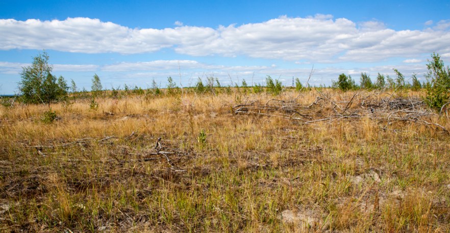 20130830_Liettuva-1384