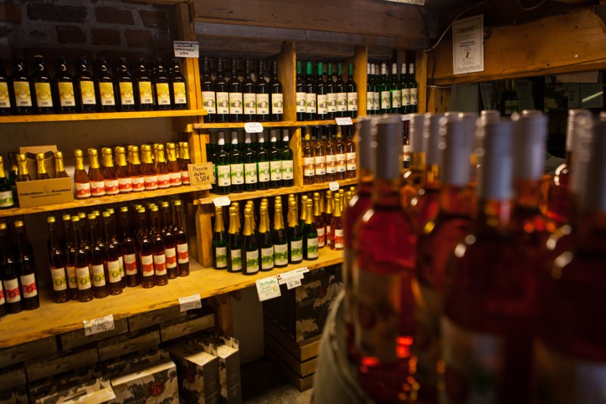 20150603_SysmaCamp-1009