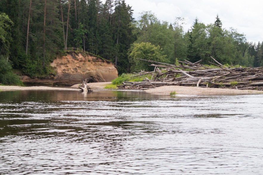 20140619_Makars-1025