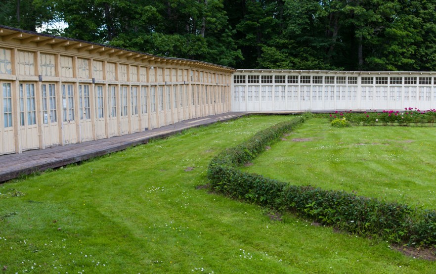 20140625_bGrimulda-1017