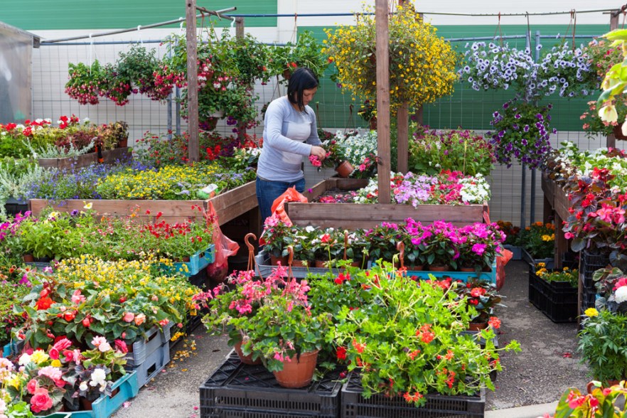 20140626_dCesis-1096