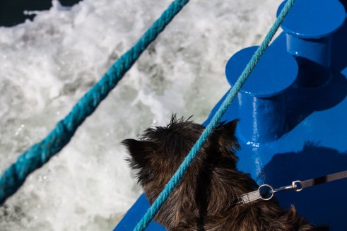 140707_Poroholma-1090