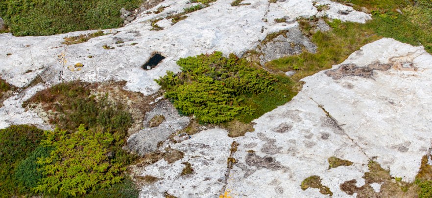 140707_Poroholma-1135