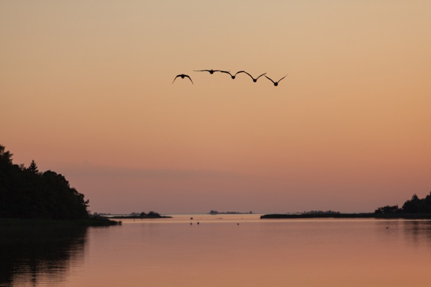 140707_Poroholma-1216