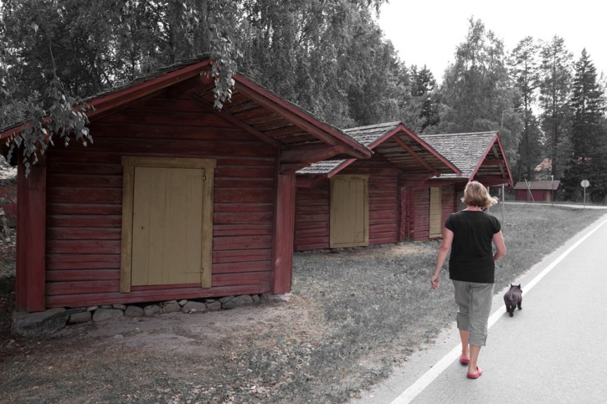 20110718_f_narpio_ (1419)fx