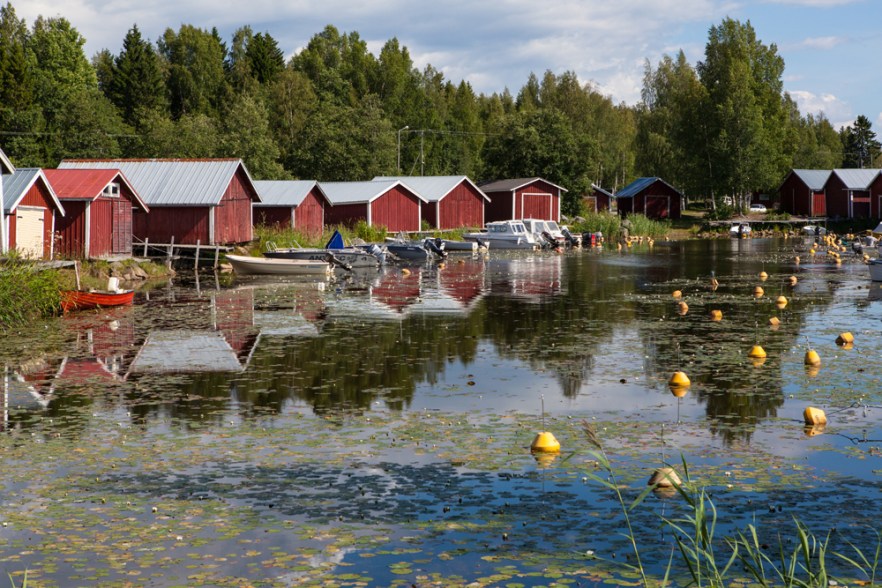 20140718_AminneStgb-1006