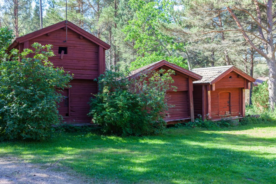 20140718_EKiiliUlkomus-5005