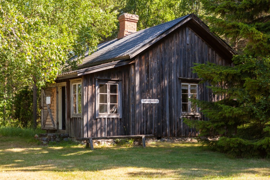 20140718_EKiiliUlkomus-5011