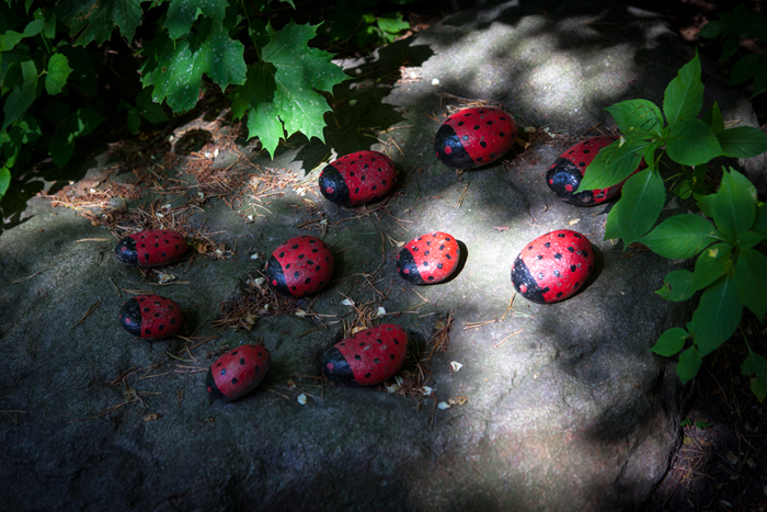 2015_08_11_Pikseke-1009