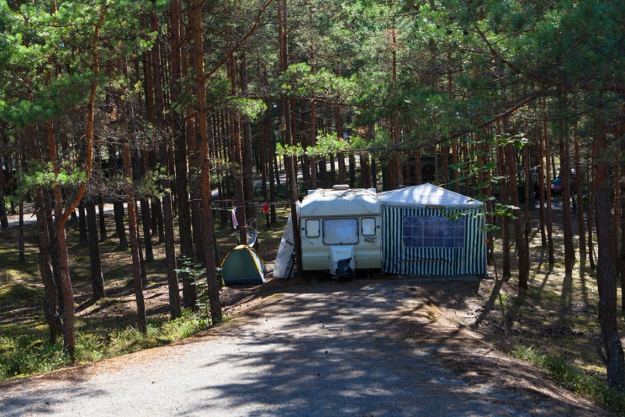 2015_08_14__Ronisi-1002