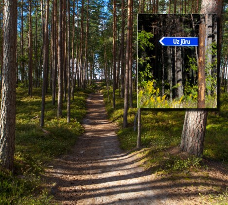 2015_08_14__Ronisi-1010