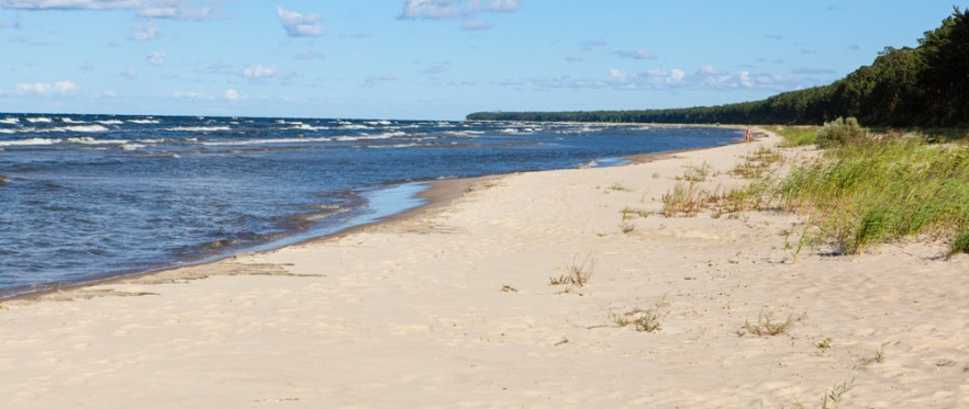 2015_08_14__Ronisi-1015