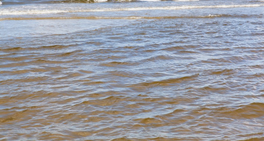 2015_08_14__Ronisi-1018