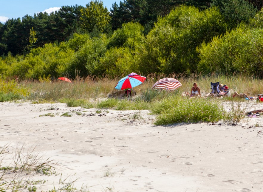 2015_08_15_nemo-1059