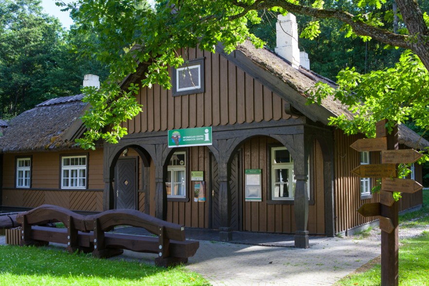 2015_08_15_nemo-1098