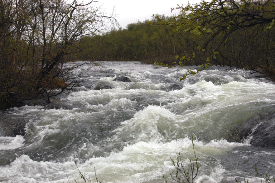 1439_Kilpisjarvi_KASIVARSI_250608