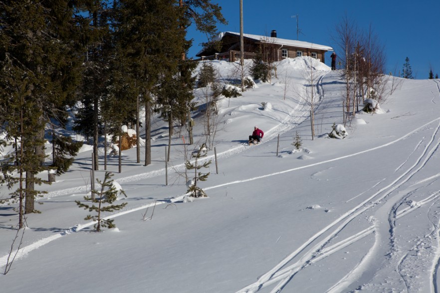 20110312_Paljakka_ (10255)