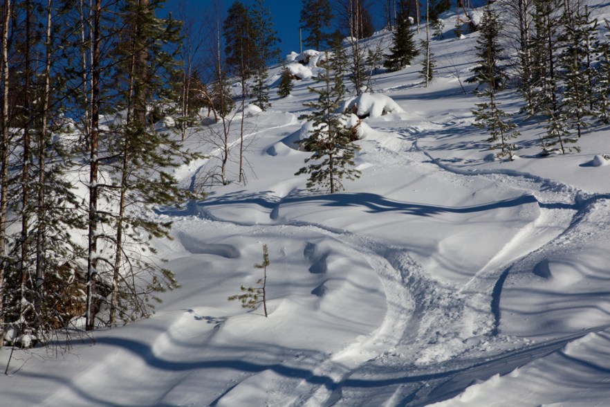 20110312_Paljakka_ (10278)