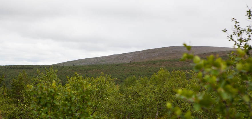 20130723_Karigasniemi-173