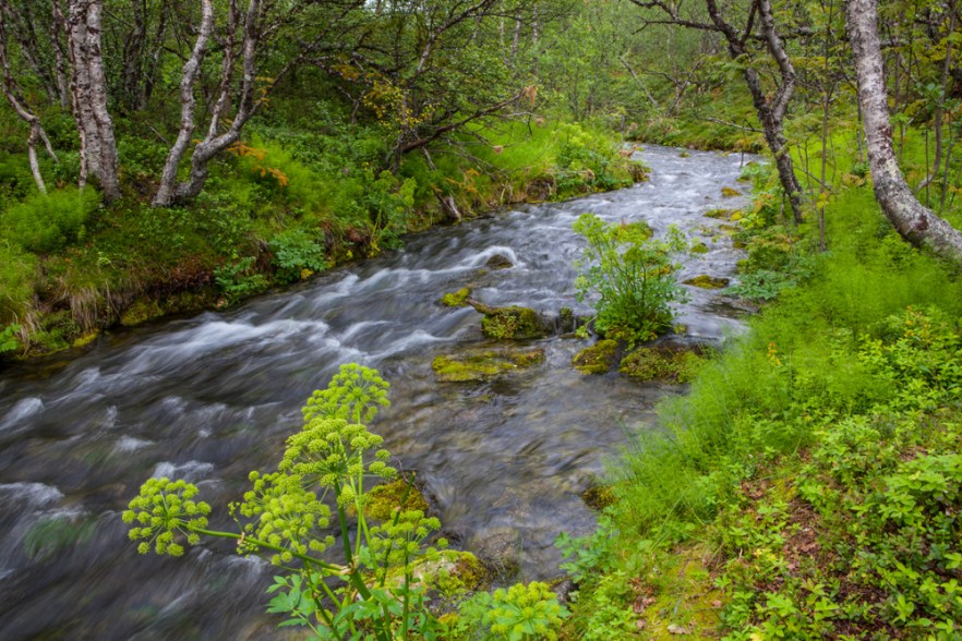 20130723_Karigasniemi-189