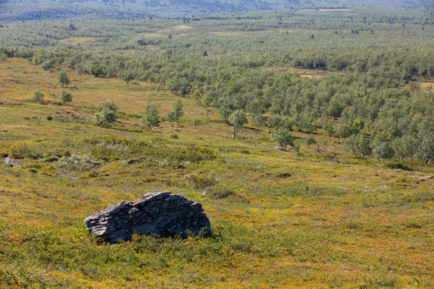 20130724_Ailigas-449