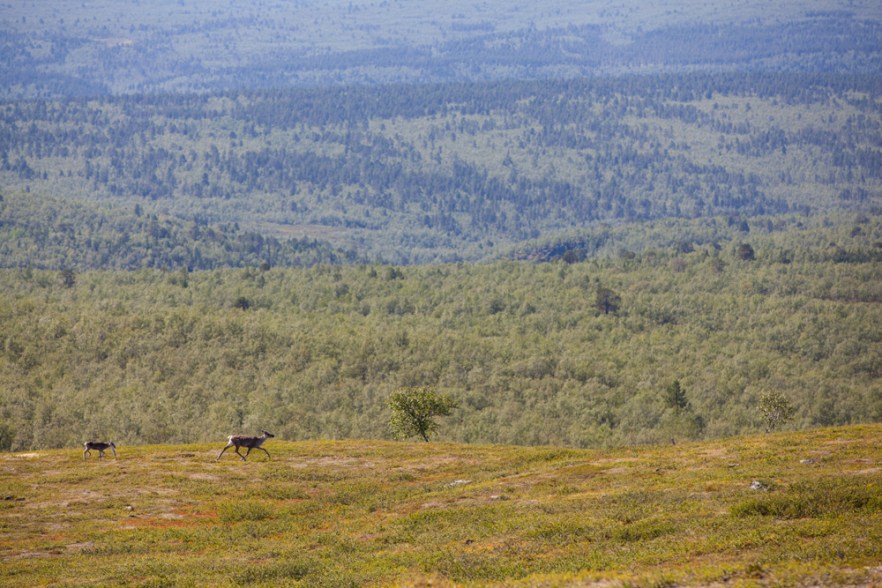 20130724_Ailigas-472