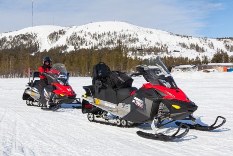 20140307_PyhaSafari-1036