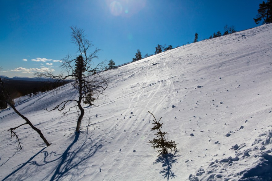 20140308_Luosto-1050