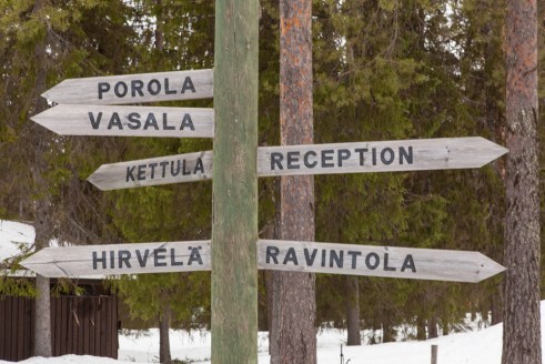 20140309_PAsteli-1005