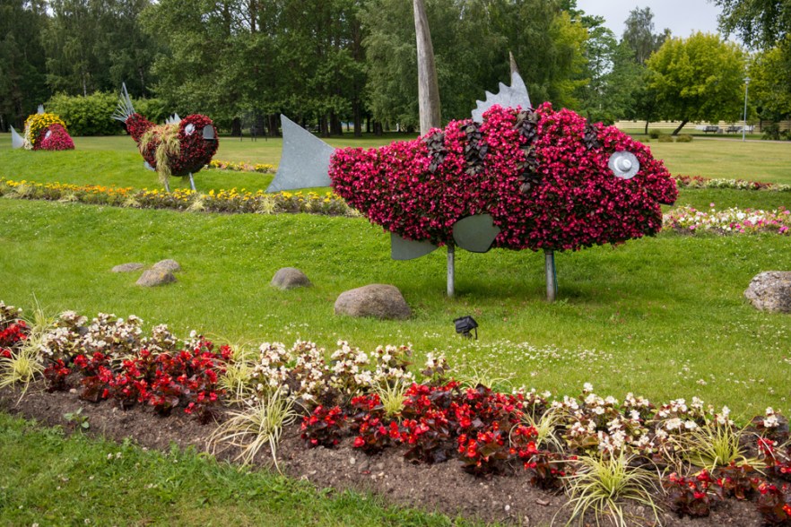 20140623_Venstpl-1056