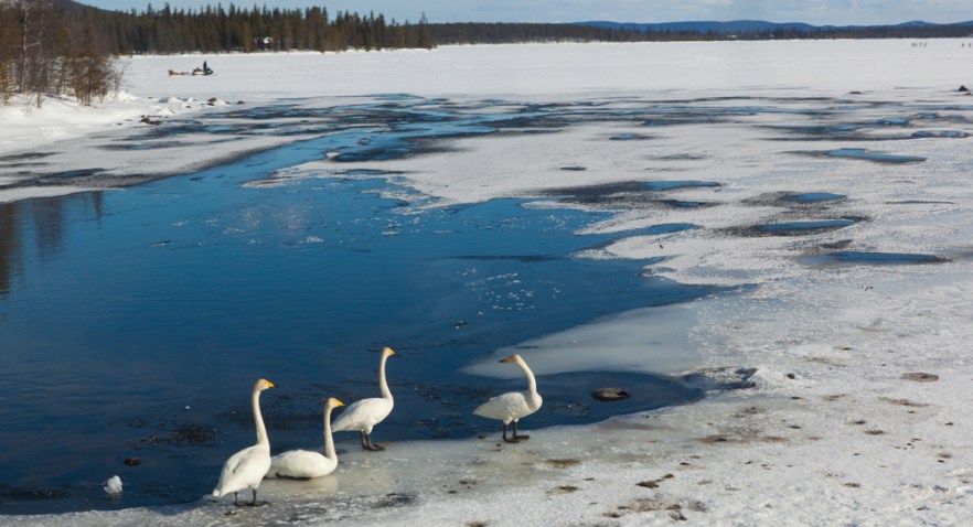 20130408_KyronTuntLom-1050