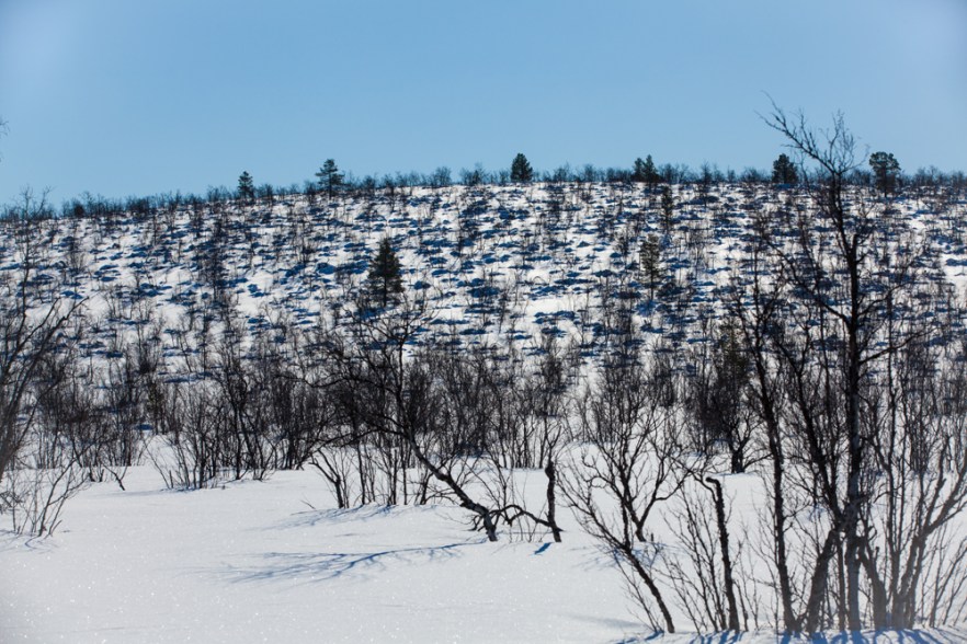 20130411_Galdotieva-1078