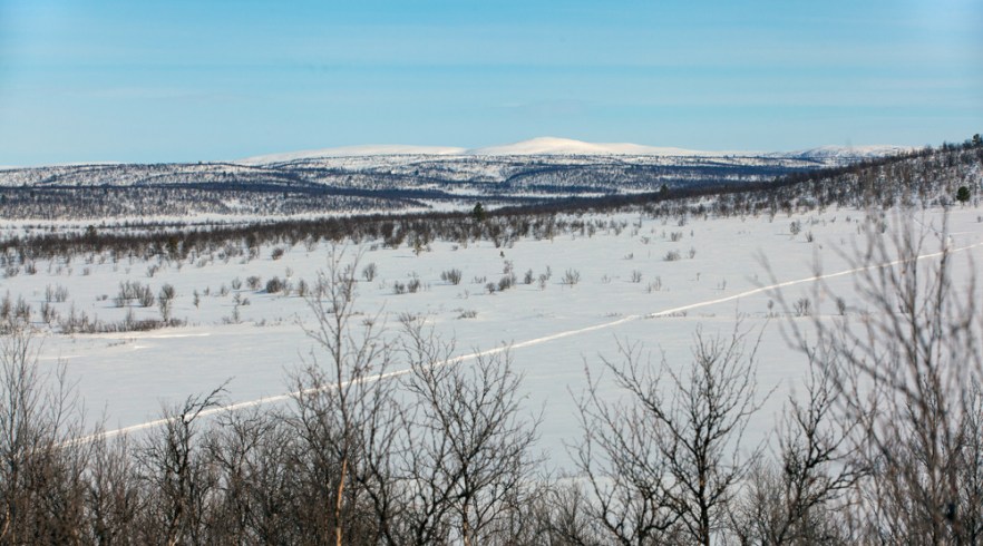 20130411_Galdotieva-1085