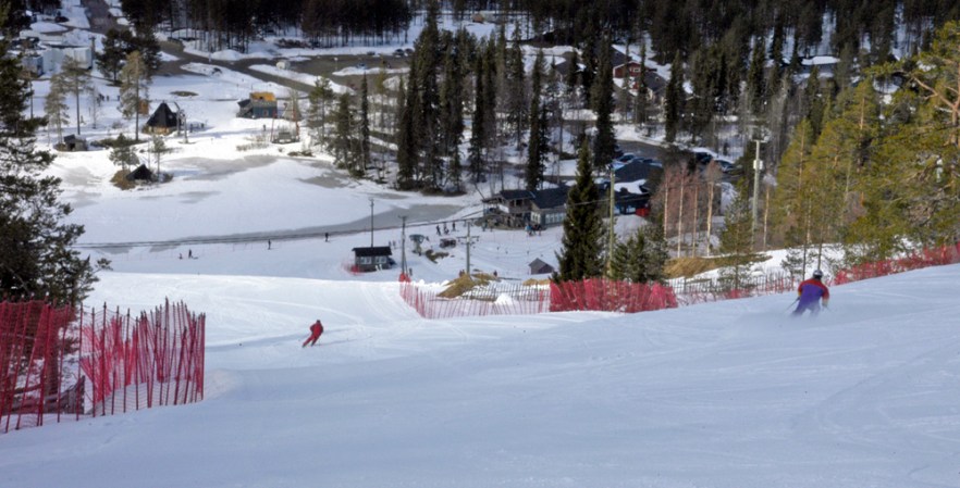 20100421_LAPPI_Salla_ (1230)